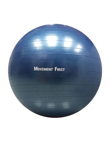 Premium Swiss Exercise Ball 