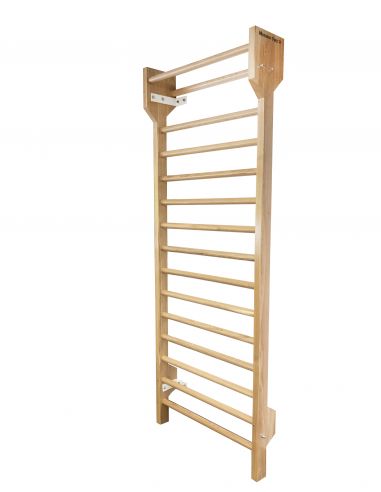 Professional Swedish Ladder Wall Bar $1,300.00