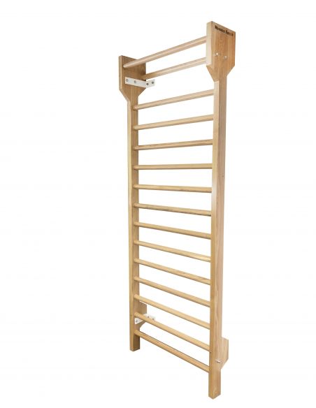 Professional Swedish Ladder Wall Bar $1,300.00