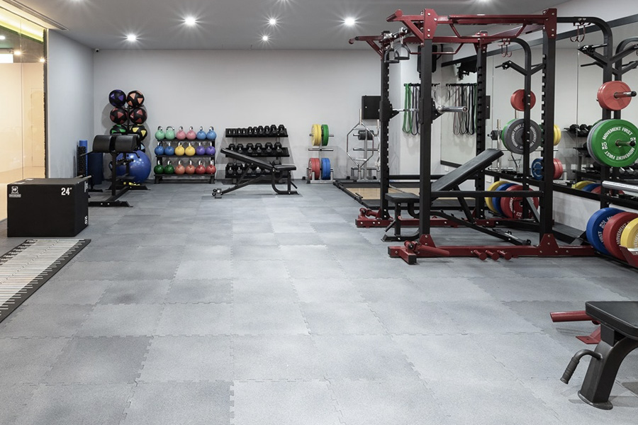 Gym equipment stores discount online